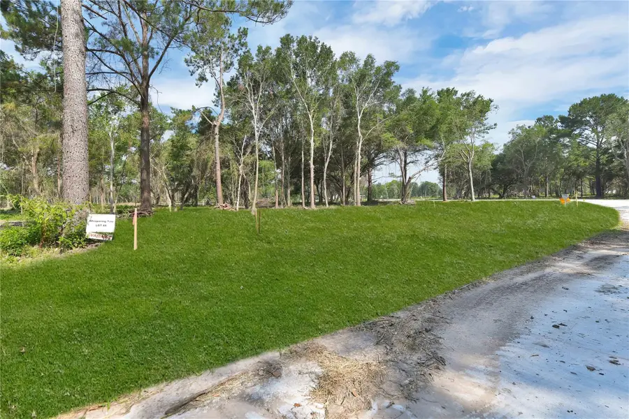 2702 Whispering Pine Drive, Alvin, TX 77511 - Image #3