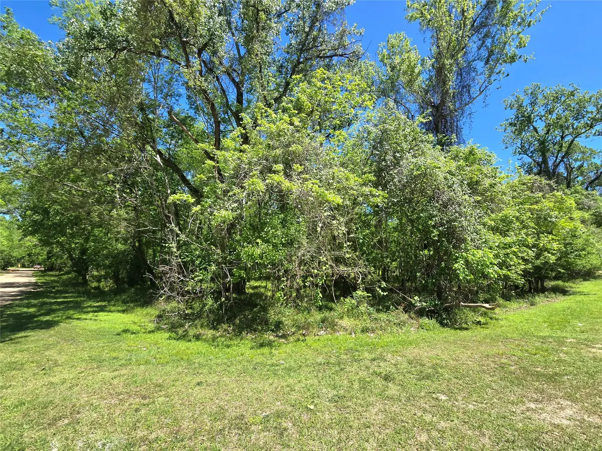 TBD County Road 2167c, Cleveland, TX 77327 - #1