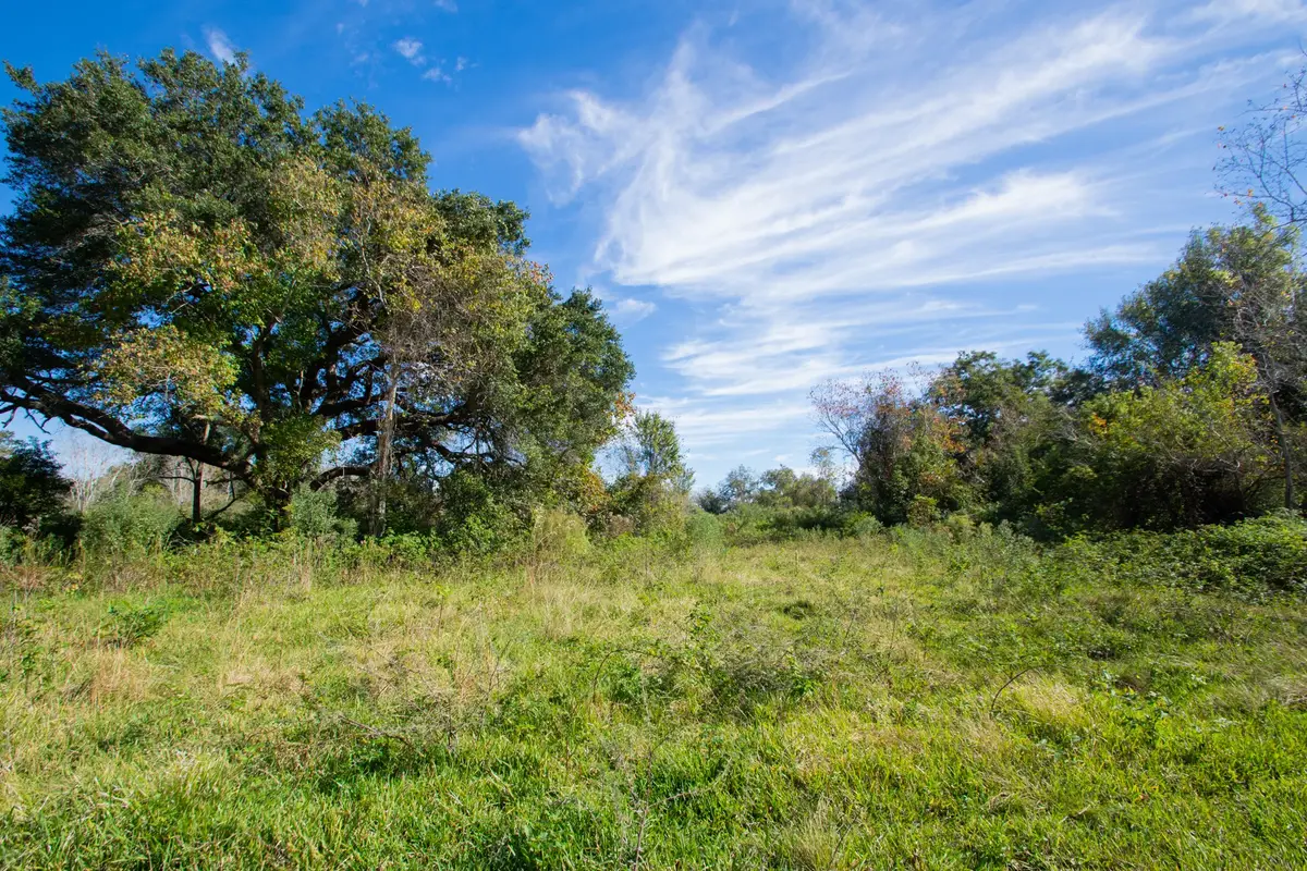 TBD Hwy 36, Jones Creek, TX 77541 - Image #1