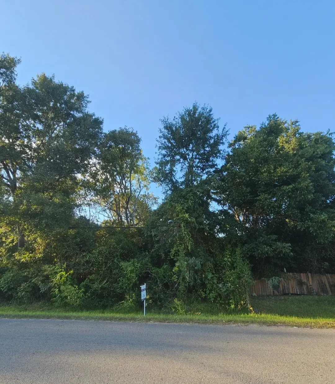 TBD Avenue F, Conroe, TX 77301 - Image #1