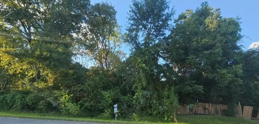 TBD Avenue F, Conroe, TX 77301 - Image #2