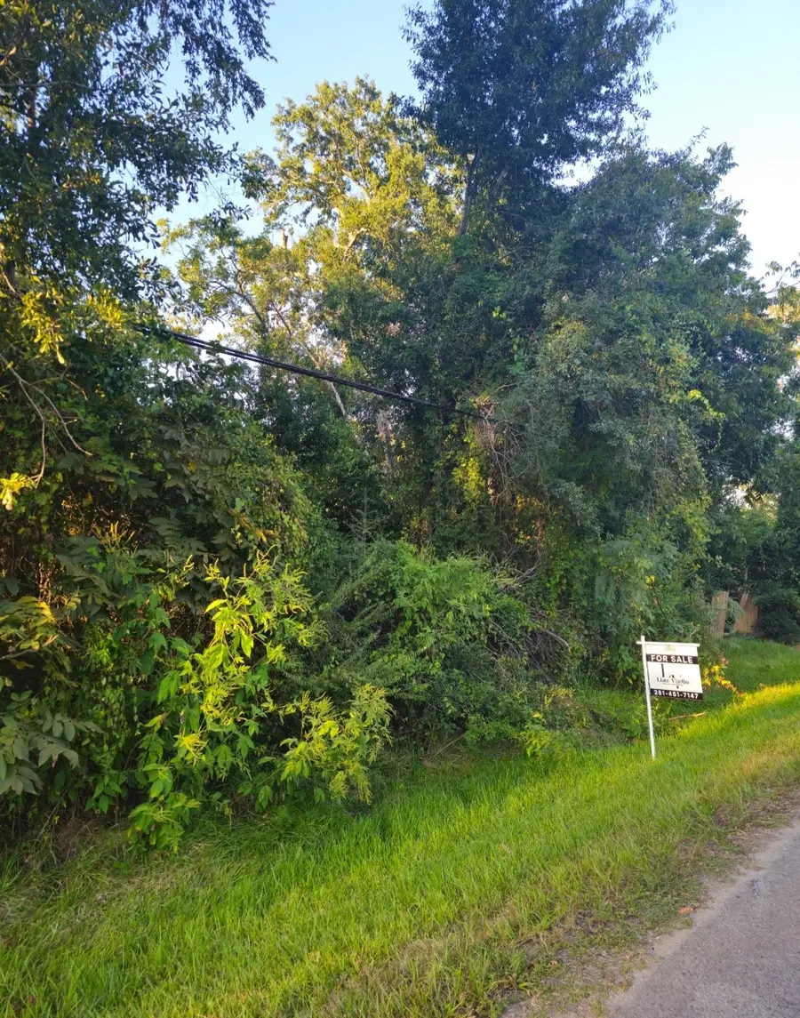 TBD Avenue F, Conroe, TX 77301 - Image #3