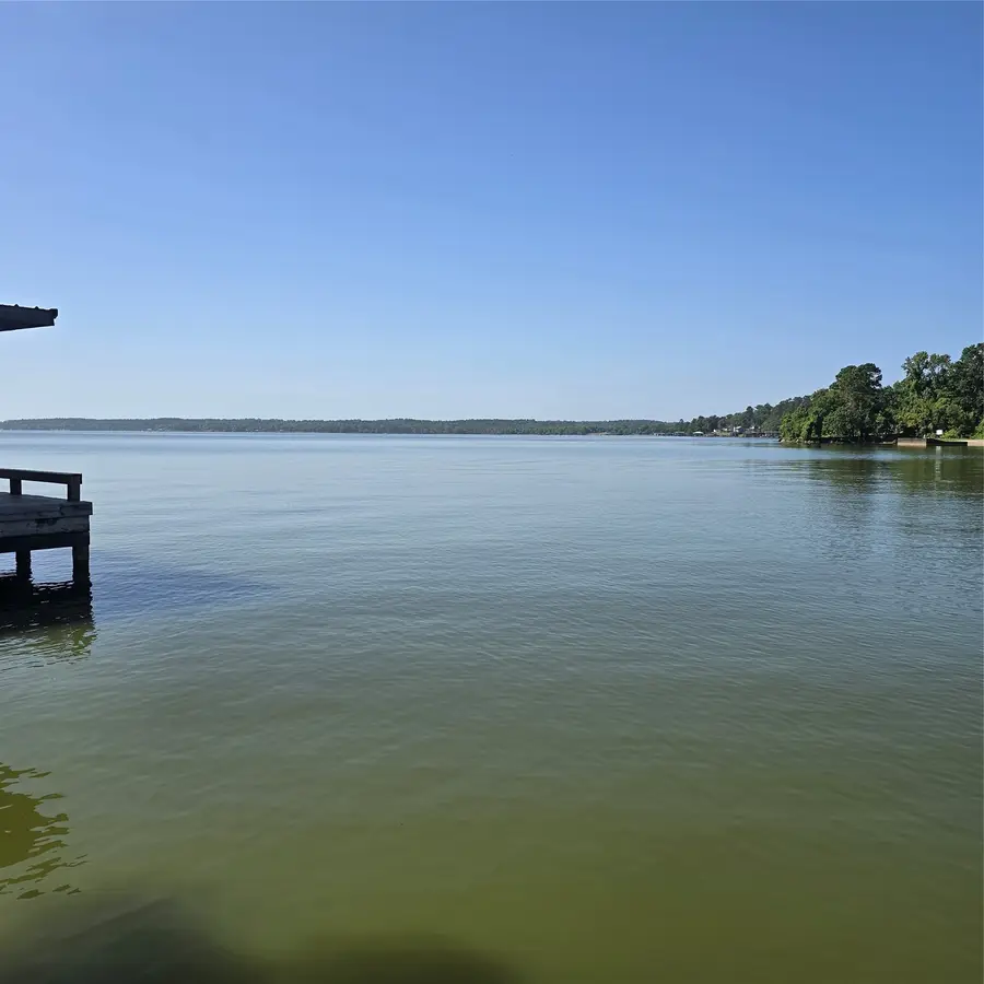 72 Edgewater Way, Point Blank, TX 77364 - #3