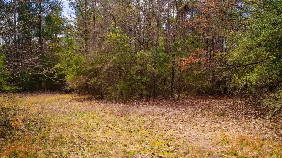 TBD Tract 3 Triple Creek Loop, Livingston, TX 77351 - #3