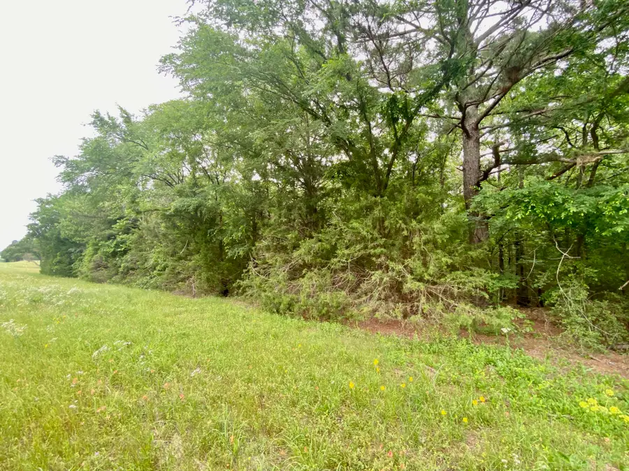 00 S State Highway 19, Elkhart, TX 75839 - Image #2