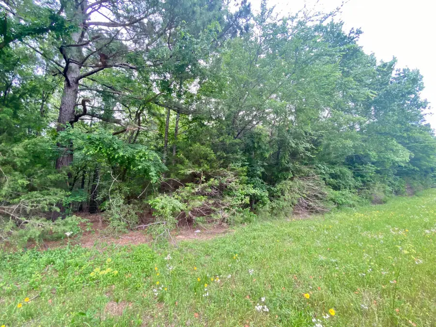 00 S State Highway 19, Elkhart, TX 75839 - Image #3