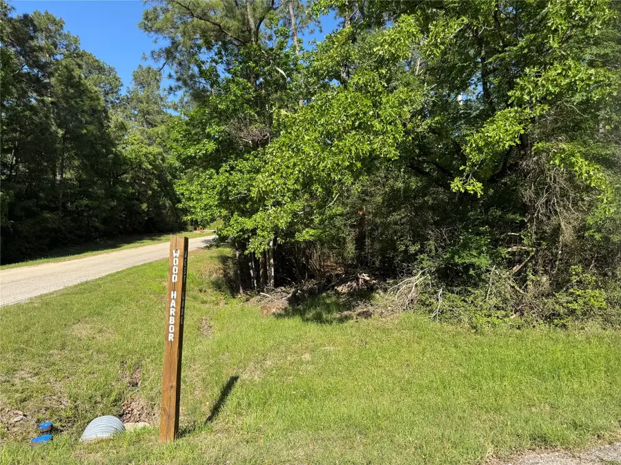 15 Wood Harbor, Trinity, TX 75862 - Image #2