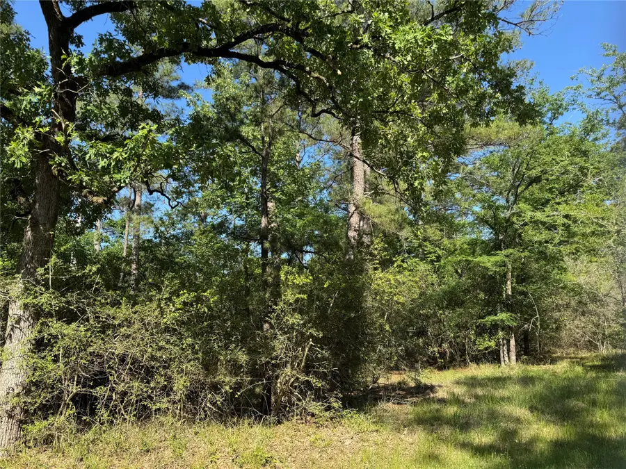 15 Wood Harbor, Trinity, TX 75862 - Image #3