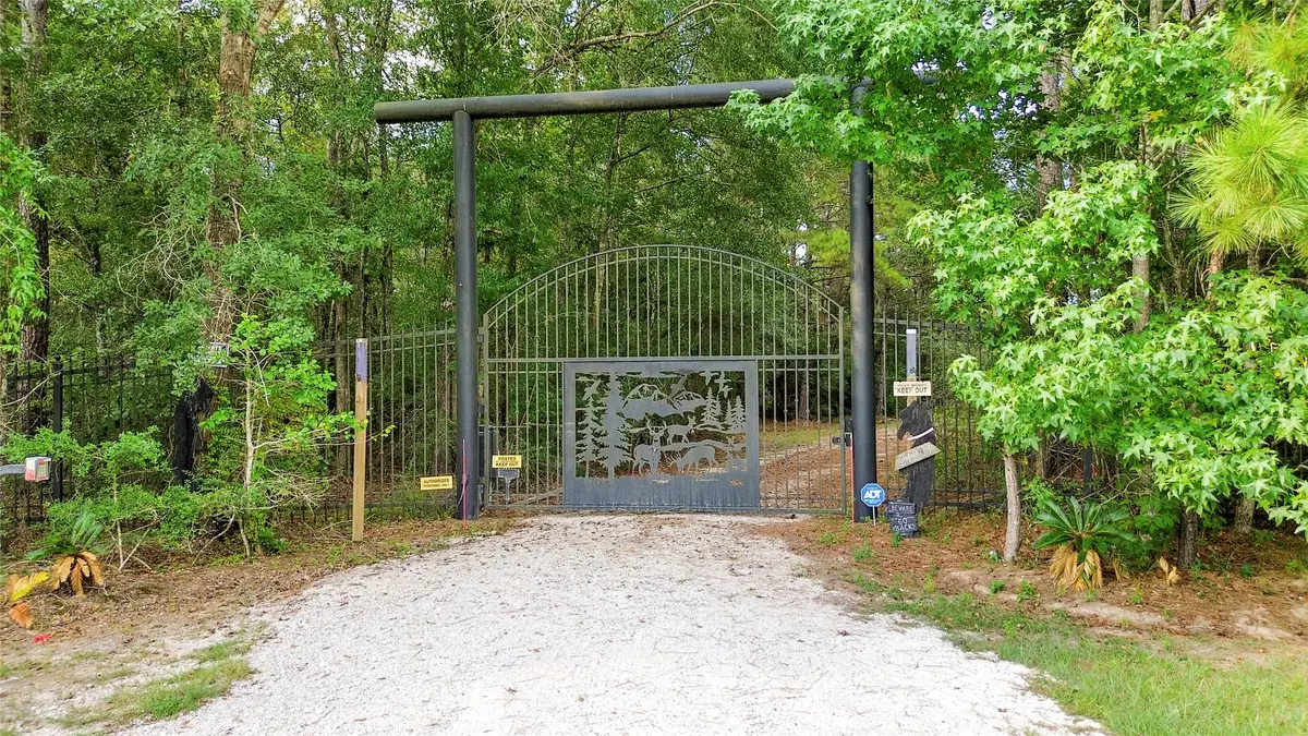 21203 Peach Wood Ct, Cleveland, TX 77328 - #1