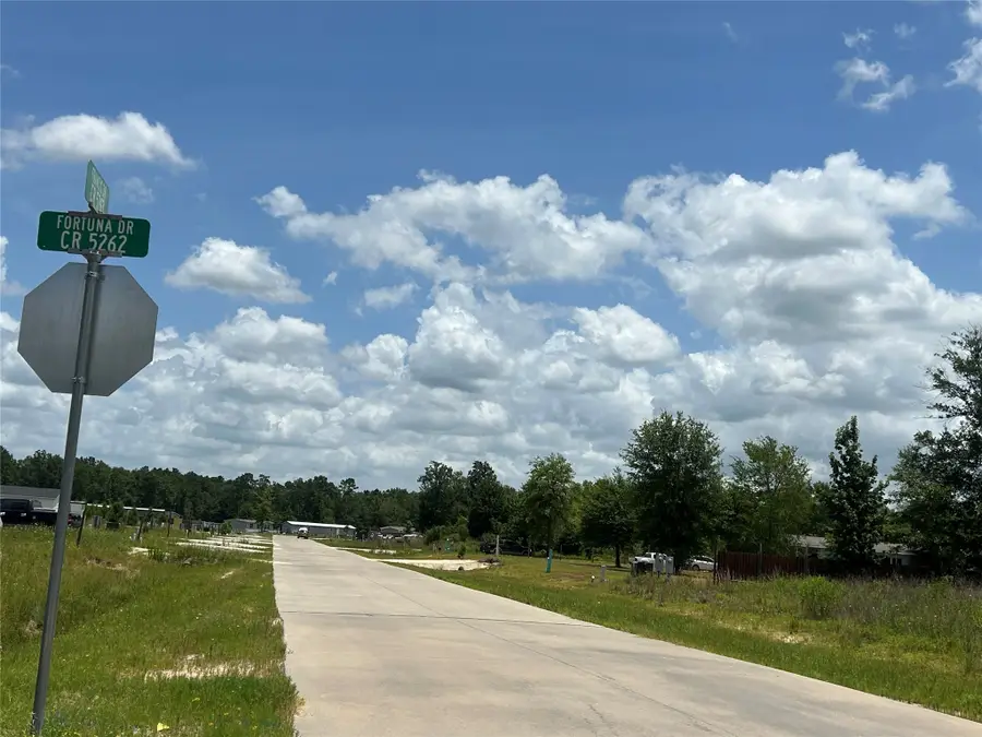 1372 Road 5263, Cleveland, TX 77327 - #2