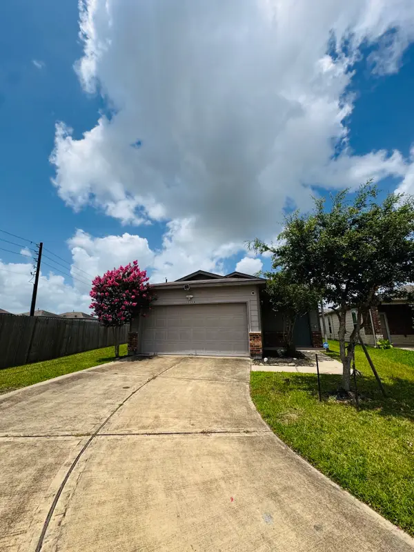 12318 Skyview Rise Court Court, Houston, TX 77047