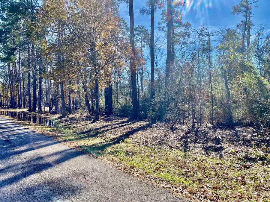 TBD Brahman, Onalaska, TX 77360 - Image #3