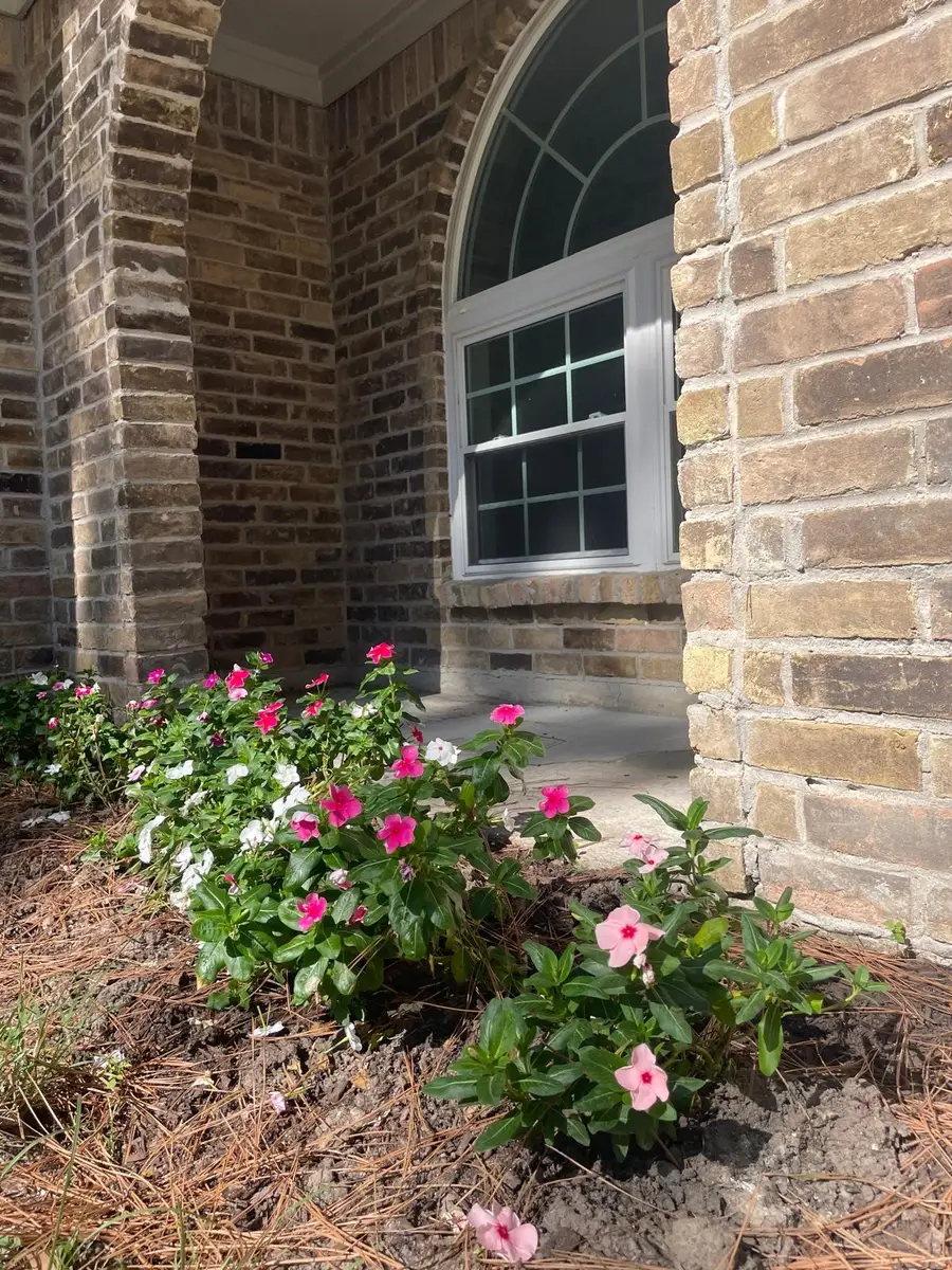 22831 Earlmist Drive, Spring, TX 77373 - #2
