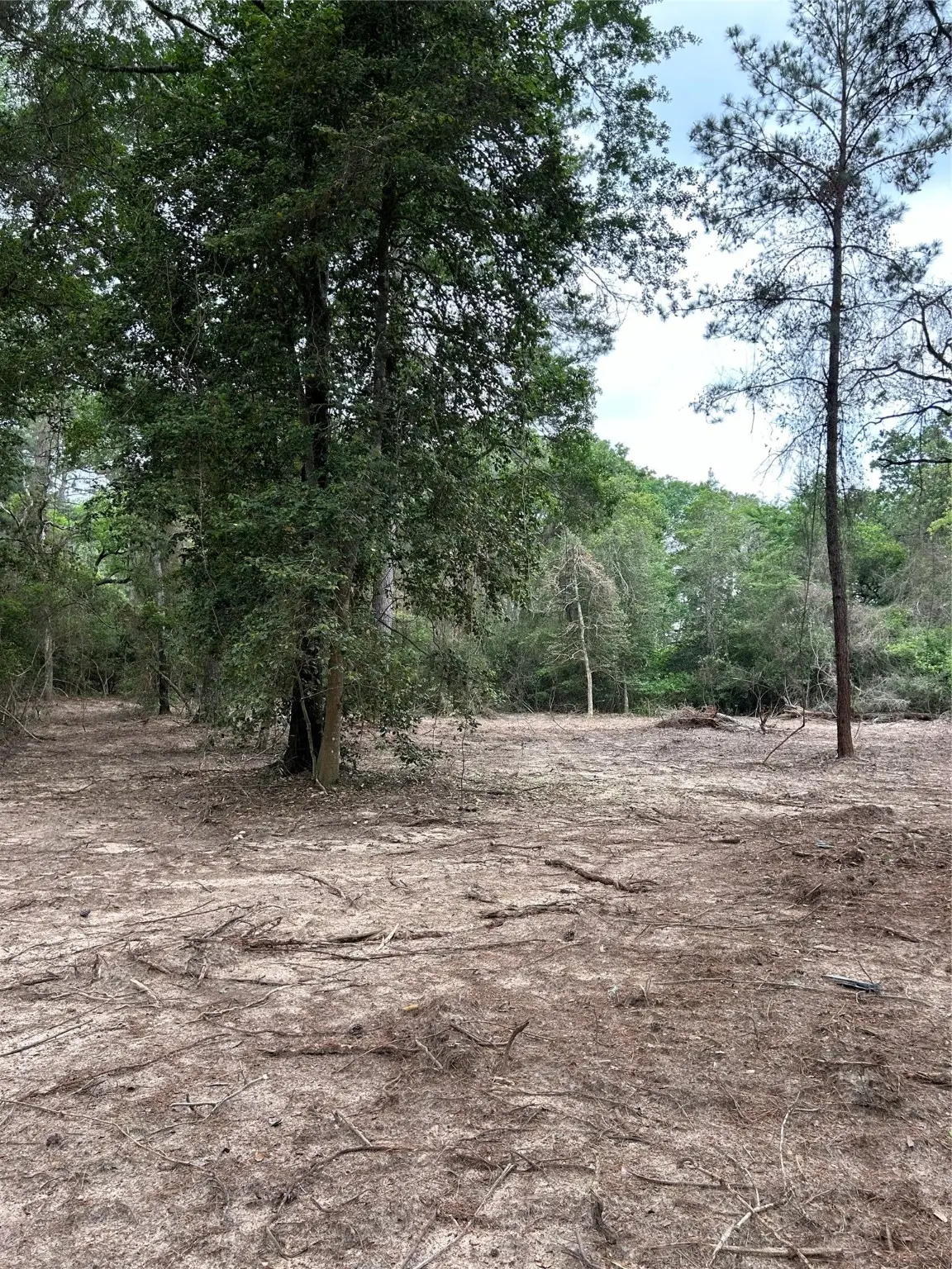 3340 County Road 325 Road, Navasota, TX 77868 - Image #1