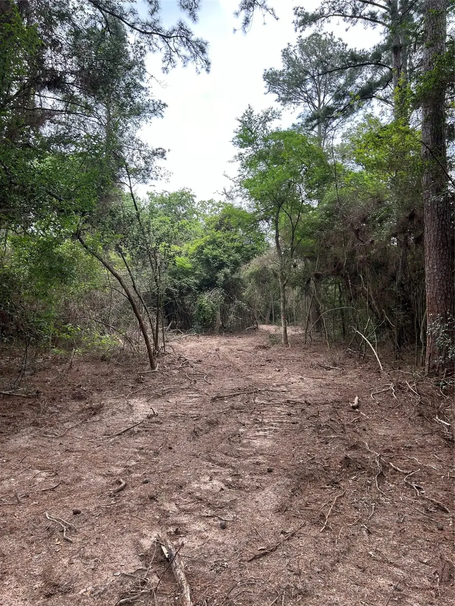 3340 County Road 325 Road, Navasota, TX 77868 - Image #3