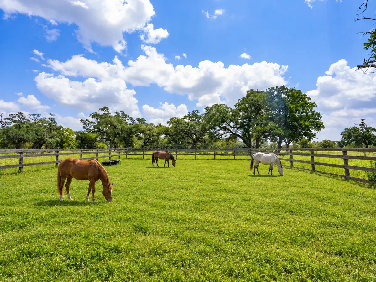 2751 Fm 2434, Columbus, TX 78962 - #1
