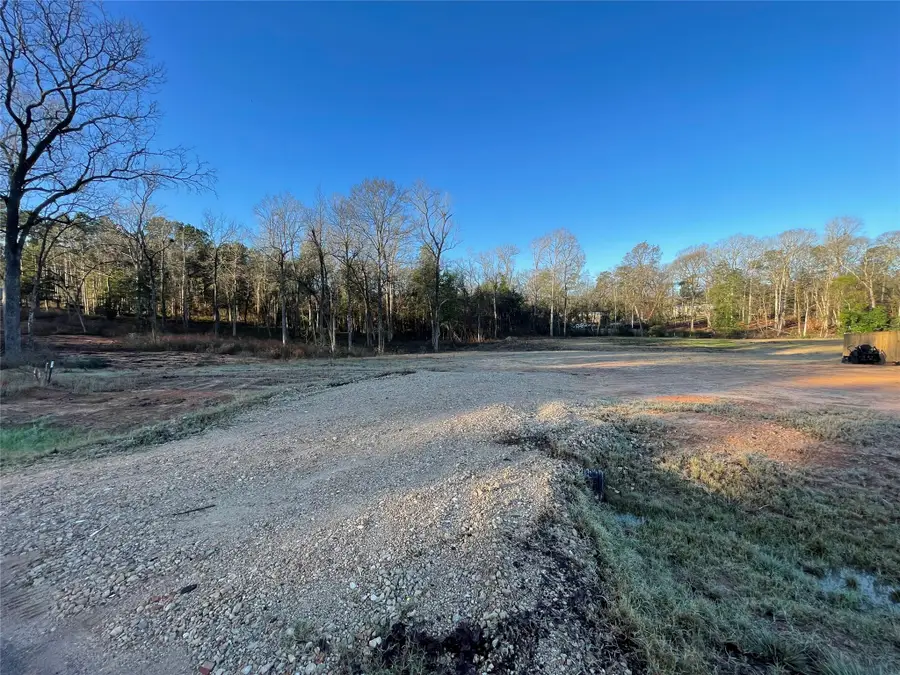 11369 Annie Creek Drive, Willis, TX 77378 - Image #3