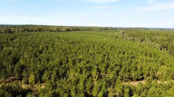 0 Us Highway 190 E, Livingston, TX 77351