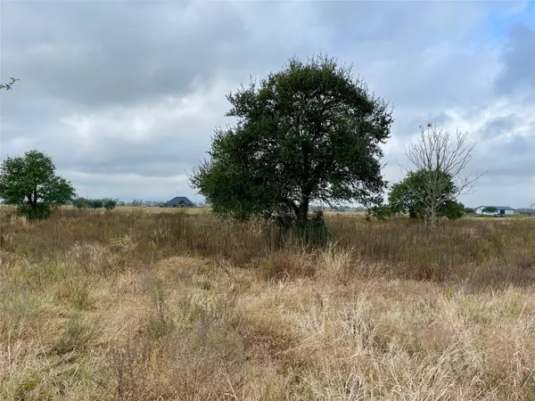 16887 Bosse, Washington, TX 77880