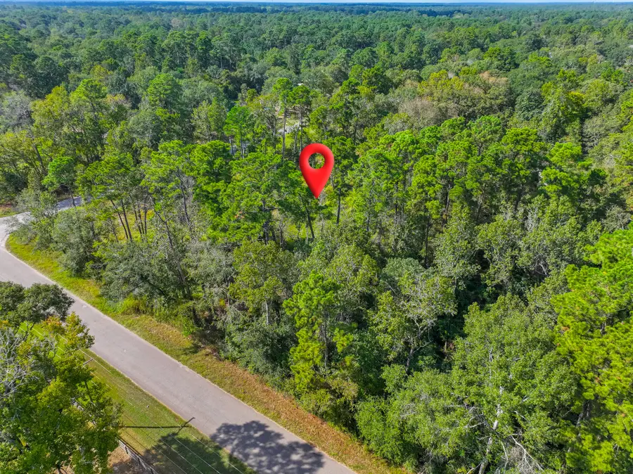 11855 Magnolia Bend Dr, Conroe, TX 77302 - Image #2