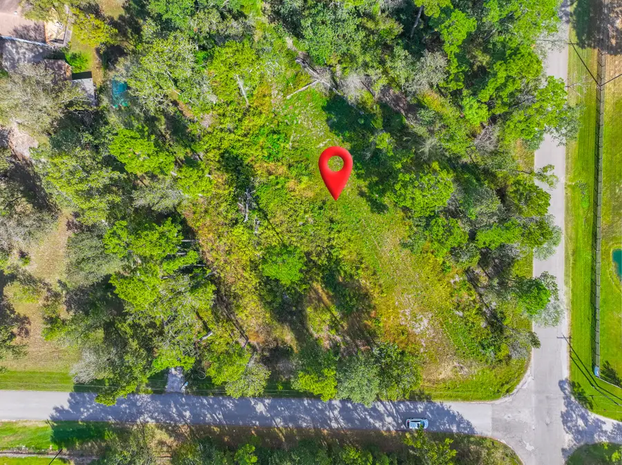 11855 Magnolia Bend Dr, Conroe, TX 77302 - Image #3