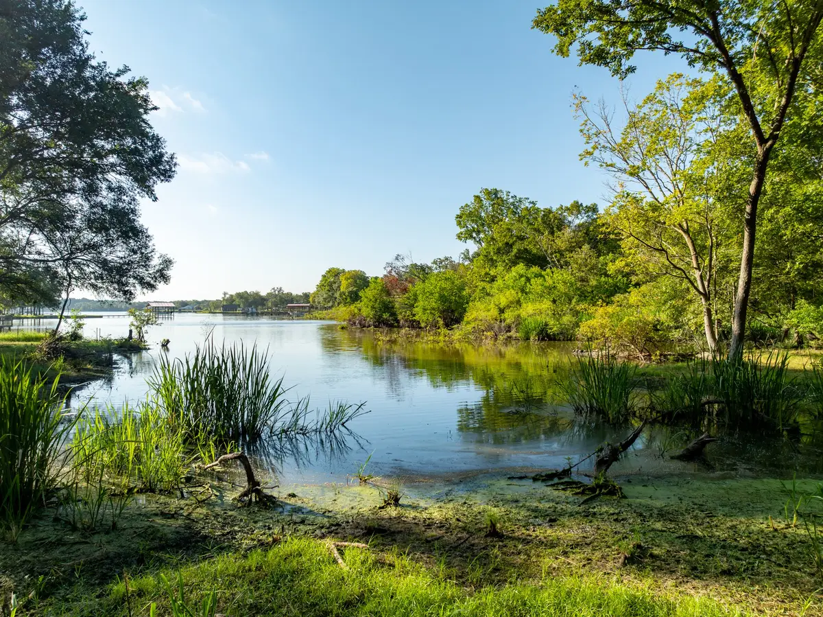 TBD County Road 750, Thornton, TX 76687 - #1