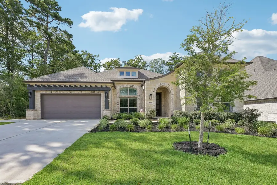 123 Trailhead Ridge Court, Conroe, TX 77318 - #2