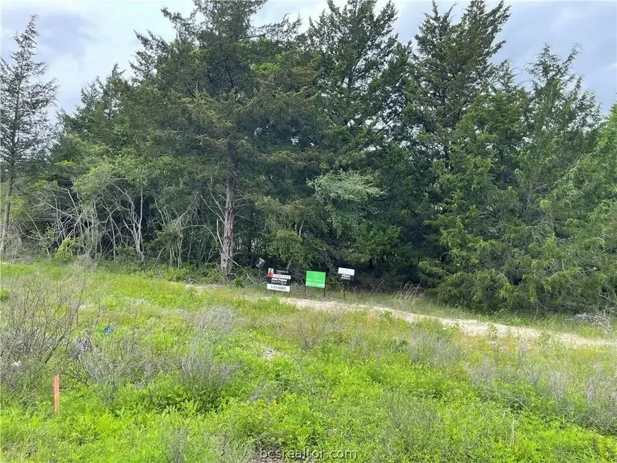 4476 Hampshire Lane, Franklin, TX 77856 - Image #2