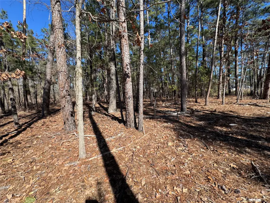 020 Private Road 6028, Brookeland, TX 75931 - #2