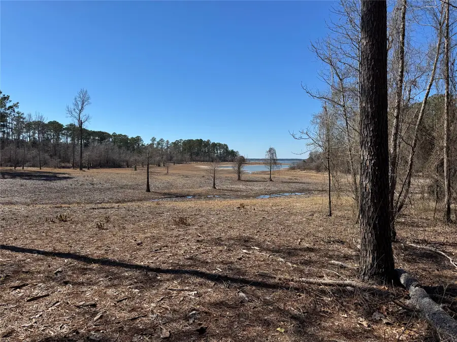 020 Private Road 6028, Brookeland, TX 75931 - #3