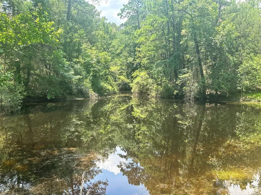 222 Cr 3085, Colmesneil, TX 75938 - #2