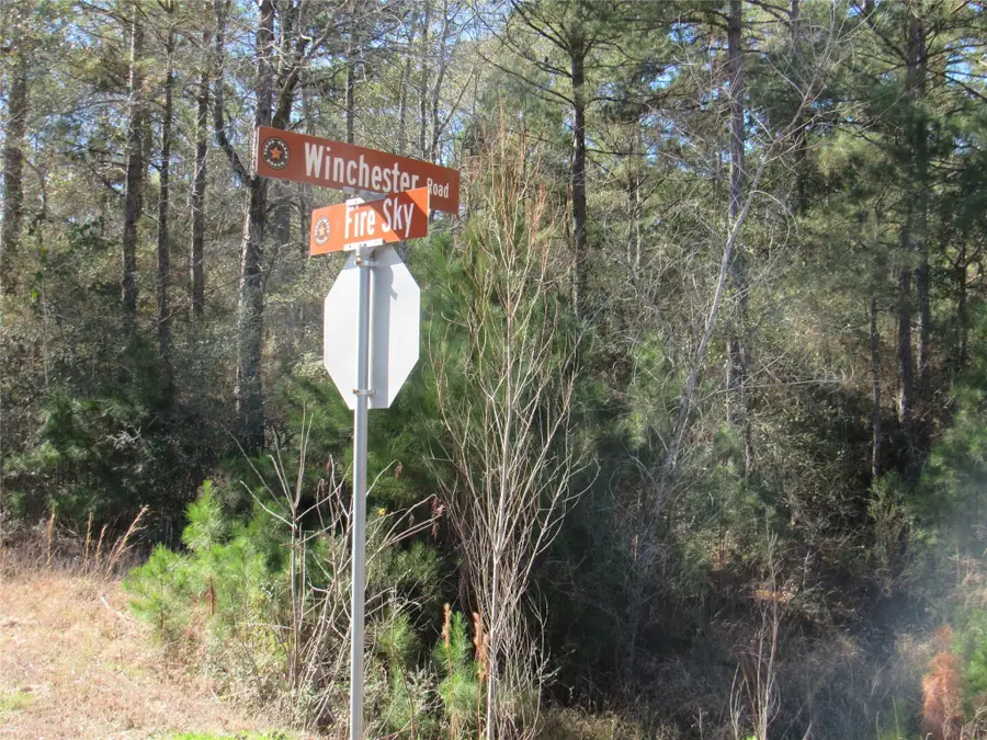 TBD Winchester Road, Huntsville, TX 77340 - Image #2