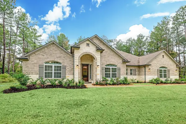 40724 Lost San Saba Lane, Montgomery, TX 77316