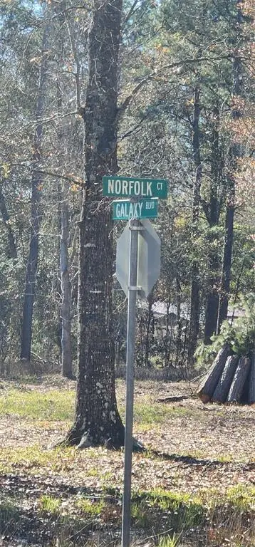 26504 Norfolk Court, New Caney, TX 77357 - Image #2