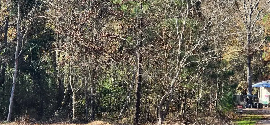 26504 Norfolk Court, New Caney, TX 77357 - Image #3