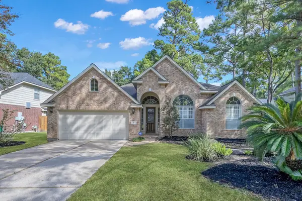 6 Long Springs Place, The Woodlands, TX 77382
