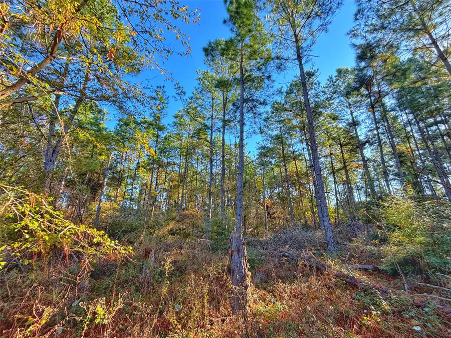 TBD Acr 157, Palestine, TX 75801 - Image #2