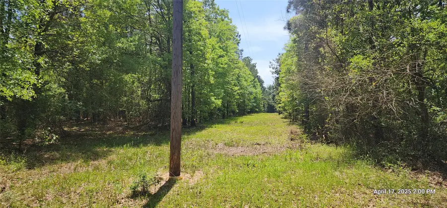 91.7 Acres Southeast Side County Road 3230, Clarksville, TX 75426 - Image #3