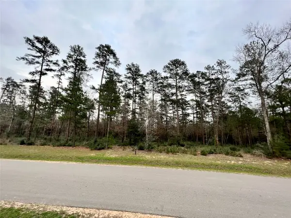 TBD7 Lily Bean, Montgomery, TX 77316