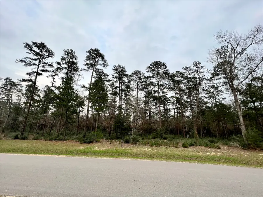 TBD7 Lily Bean, Montgomery, TX 77316 - #2