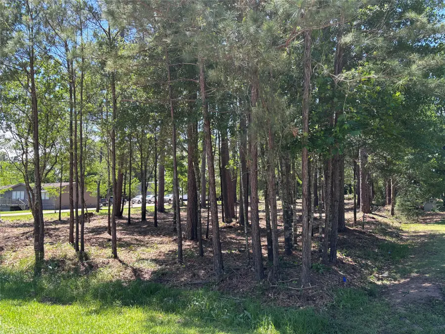 0 Bear Branch, Magnolia, TX 77354 - #3