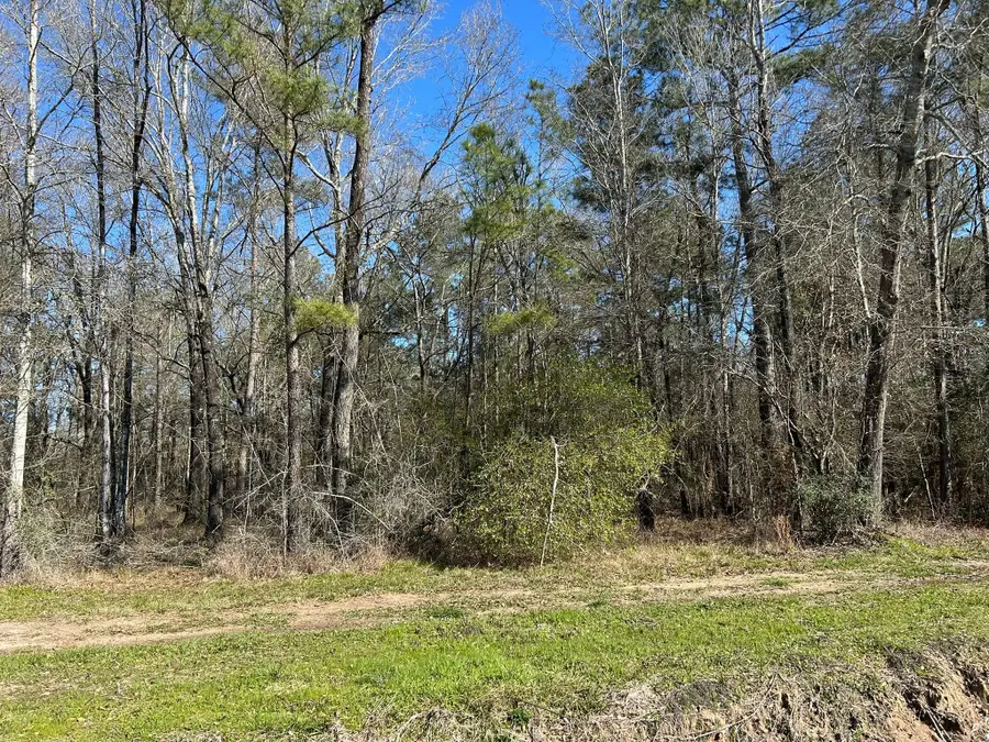 1.24 ac Circle 5, Orange, TX 77632 - Image #3