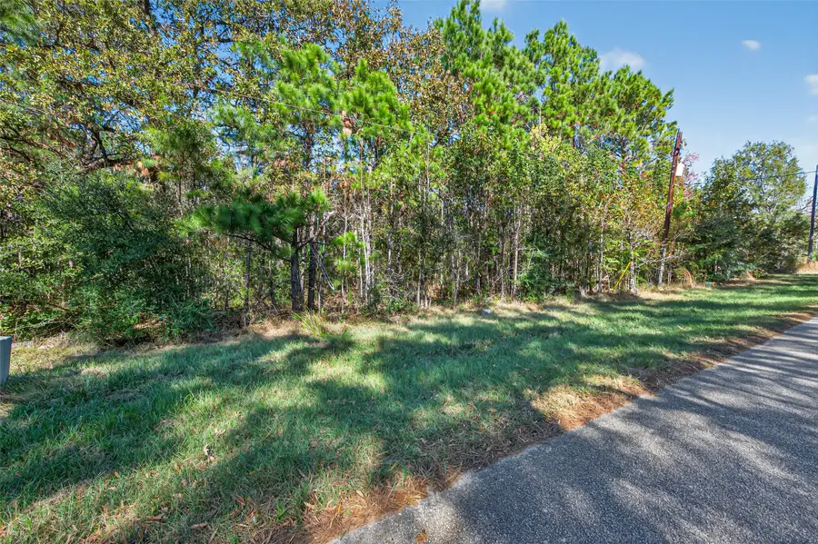 TBD Boars Head, Montgomery, TX 77316 - Image #3