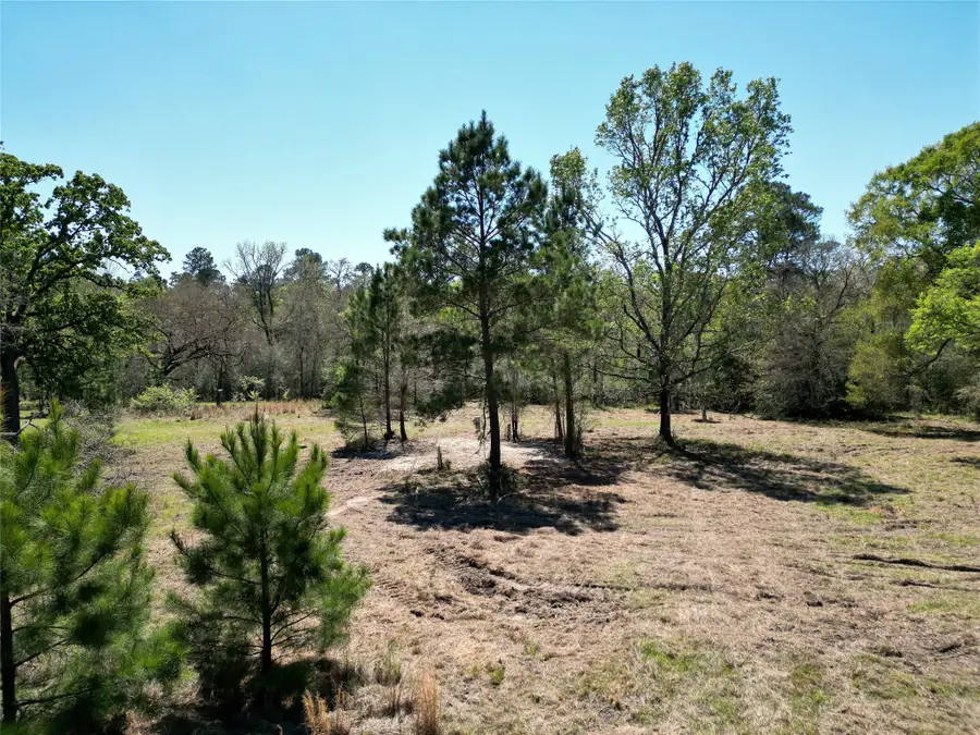42 Brumley Road, Huntsville, TX 77320 - #2