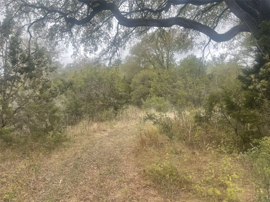 2171 Onion Creek Bend, Driftwood, TX 78619 - #3