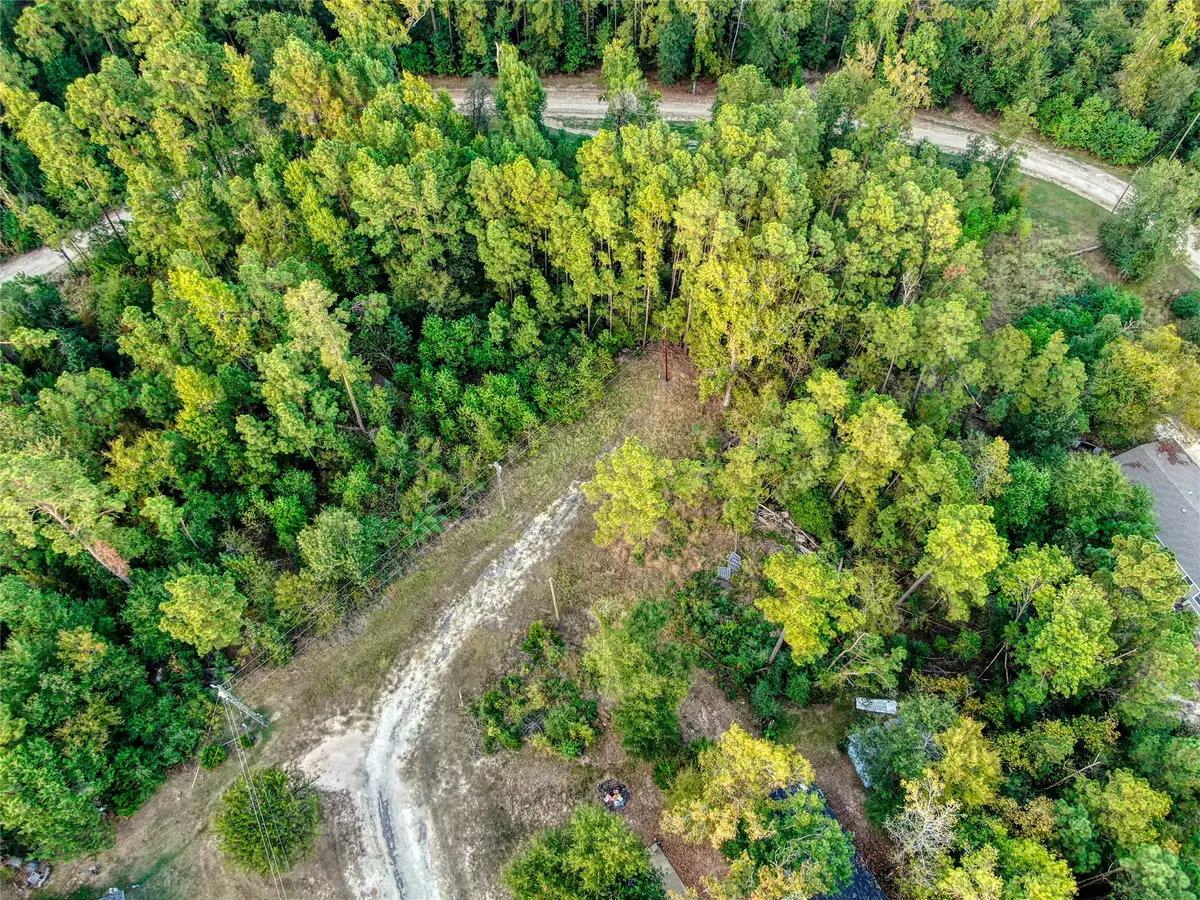 184 Willow Drive, Onalaska, TX 77360 - #1