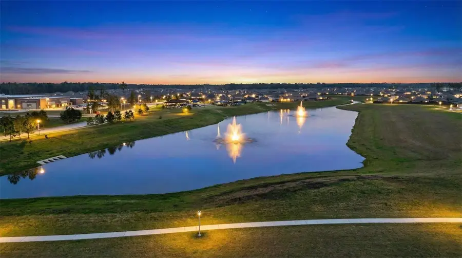 20811 Olive Leaf Street, New Caney, TX 77357 - Image #3