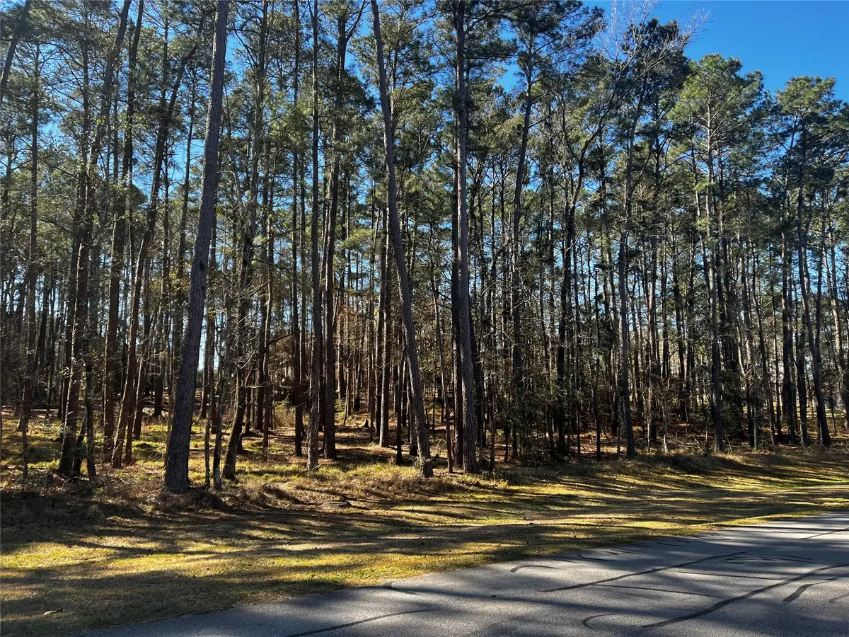 26 Altwood Drive, Coldspring, TX 77331 - #1