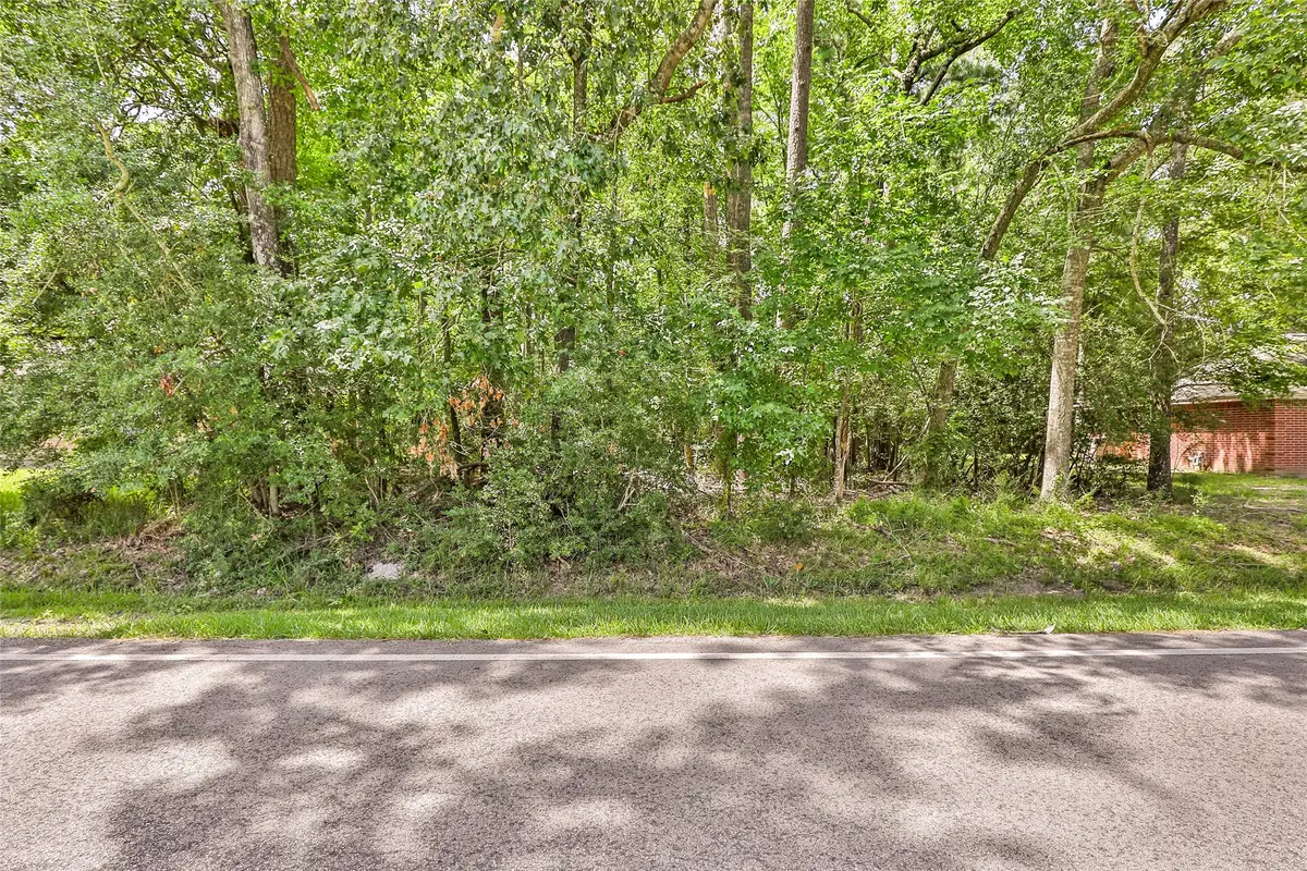 18334 Steele Point Drive, Crosby, TX 77532 - #1