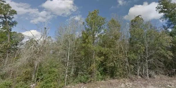 0 R44260 R44260, Conroe, TX 77304